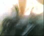 Pretty Webcam Babe Fucks Wet Pussy